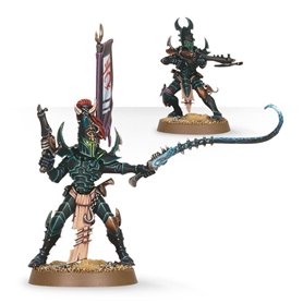 Dark Eldar Kabalite Warriors
