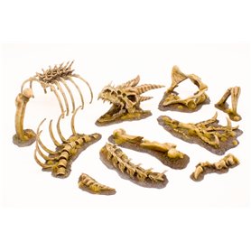 Paint Forge PFRB5001 Dragon Bones Big Set