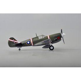 Easy Model 1:48 39315 P-40M