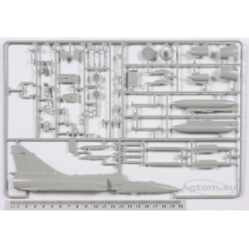 Tamiya 1:72 Dassault Mirage 2000C 