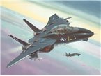 Revell 1:144 Grumman F-14A Black Tomcat