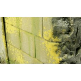 Vallejo Environment - Moss and Lichen Effect
