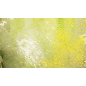 Vallejo Environment - Slimy Grime Light
