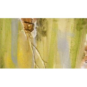 Vallejo Environment - Slimy Grime Dark
