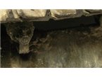 Vallejo Engine Effects - Oil Stains