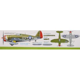 Tamiya 1:48 Republic P-47D Thunderbolt Razorback
