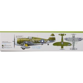 Tamiya 1:48 Republic P-47D Thunderbolt Razorback