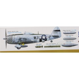 Tamiya 1:48 61090 P-47D Thunderbolt Bubbletop