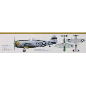 Tamiya 1:48 61090 P-47D Thunderbolt Bubbletop