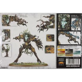 Sylvaneth Drycha Hamadreth