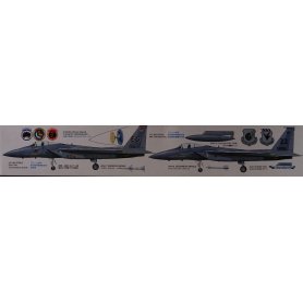 Tamiya 1:48 McDonnell Douglas F-15C Eagle