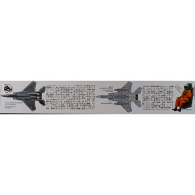 Tamiya 1:48 Japan Air Self Defense Force F-15J Eagle