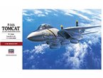 Hasegawa 1:48 Grumman F-14A Tomcat