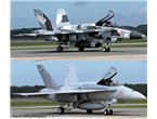 Hasegawa 1:72 F/A-18A Hornet VFC-12 | ANNIVERSARY | 2in1 |