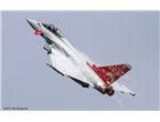 Hasegawa 1:72 Eurofighter Typhoon No.29 Squadron 100th Anniversary