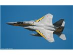 Hasegawa 1:72 McDonnell Douglas F-15J JASDF 60th