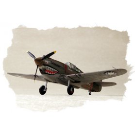 HOBBY BOSS 1:72 P-40B/C Hawk-81