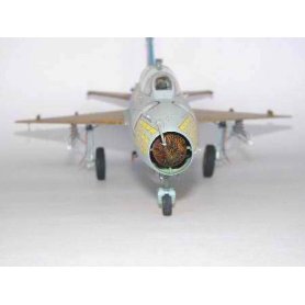 Trumpeter 1:32 MiG-21UM Mongol B