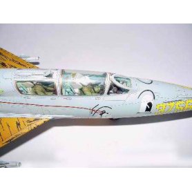 Trumpeter 1:32 MiG-21UM Mongol B