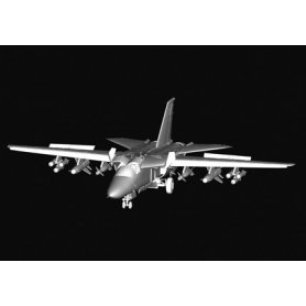 Hobby Boss 1:48 Australian F-111C Pig