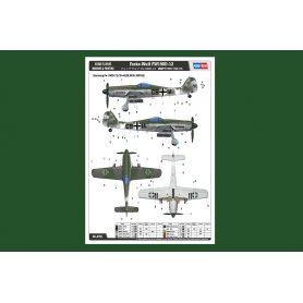 Hobby Boss 81719 Focke-Wulf Fm190D-12