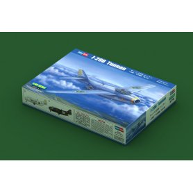 Hobby Boss 1:48 J-29B Tunnan