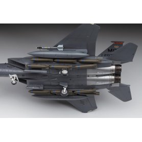 Hasegawa 1:72 F-15E Strike Eagle U.S Air Force Fighter/Attacker