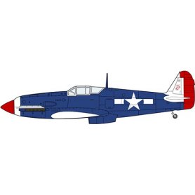 Hasegawa 1:48 Kawasaki Ki61-I Tei Type 3 Fighter Hien (Tony) U.S. Prisoner of War
