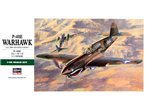 Hasegawa 1:48 Curtiss P-40E Warhawk