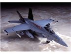 Hasegawa 1:72 F/A-18E Super Hornet