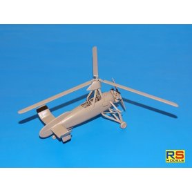 Rs Models 1:72 Leo C.30