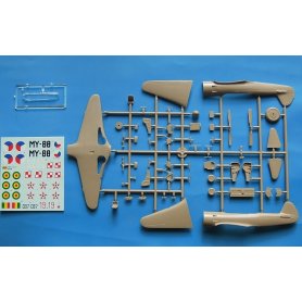 RS Models Yak-11/C-11 Moose