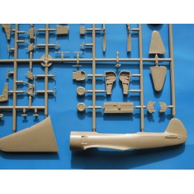 RS Models Yak-11/C-11 Moose