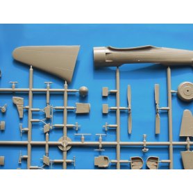 RS Models Yak-11/C-11 Moose