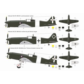 RS MODELS 92157 AMBROSINI SAI.207