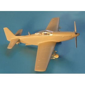 RS Models 1:72 P-51 H Mustang USAF