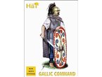 HaT 1:72 CELTIC COMMAND | 42 figurines | 