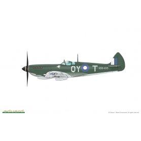 Eduard 1:72 Spitfire Mk.VIII Aussie Eight Dual Combo