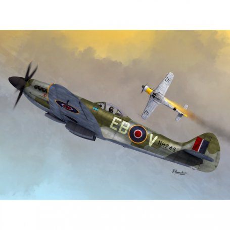 Sword 72096 Supermarine Spitfire Mk.XIV C/E Bubble