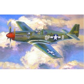MASTERCRAFT C-48 P-51 B5 BEE