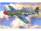 MisterCRAFT 1:72 North American P-51 B-5 BEE
