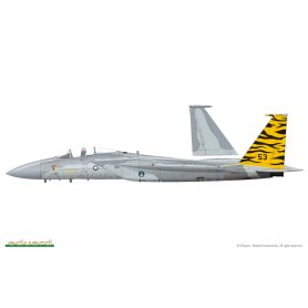 Eduard 1:48 1176 FIGHTING EAGLE F-15C