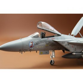 Eduard 1:48 1176 FIGHTING EAGLE F-15C