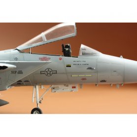 Eduard 1:48 1176 FIGHTING EAGLE F-15C