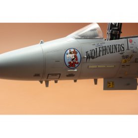Eduard 1:48 1176 FIGHTING EAGLE F-15C
