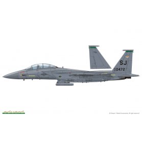 Eduard 1:48 F-15 Striking Eagles