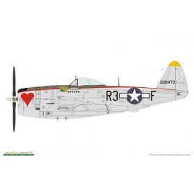 Eduard 1:48 1179 P-47D-25 JUGS OVER GERMANY