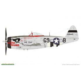 Eduard 1:48 1179 P-47D-25 JUGS OVER GERMANY