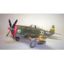 Eduard 1:48 1180 P-47D JUGS OVER ITALY