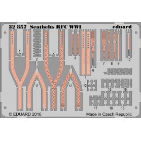 Seatbelts RFC WW1